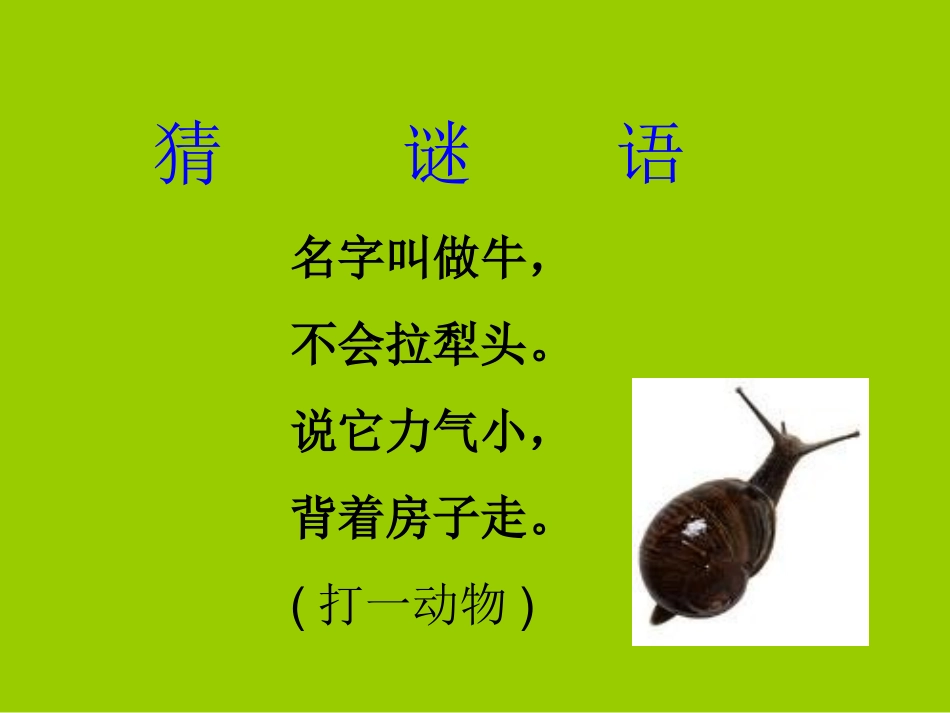 《蜗牛的奖杯》课件_第2页