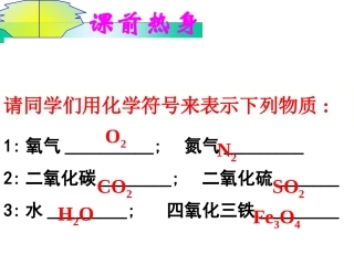 化学式与化合价公开课4
