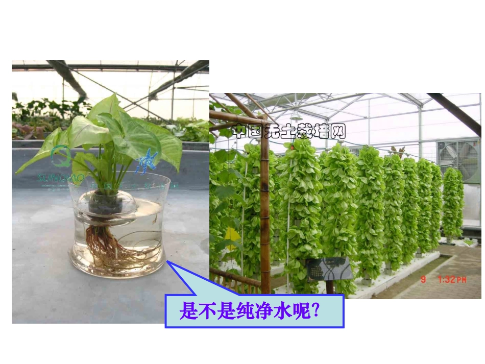 课题1_溶液的形成_第2页