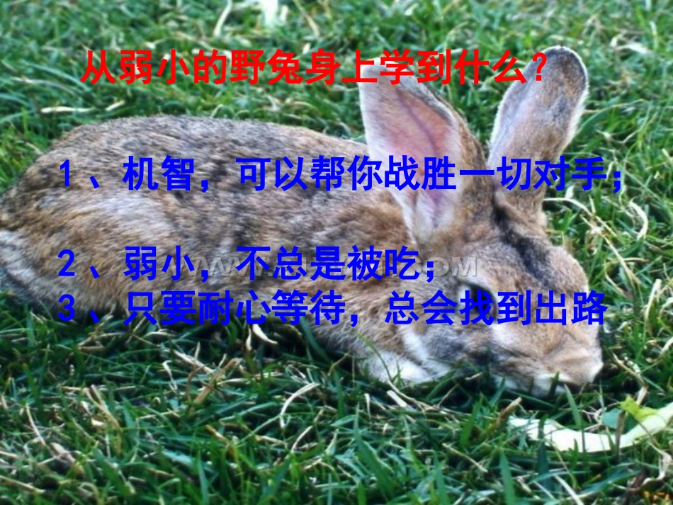 学会拒绝不良诱惑 (2)_第3页