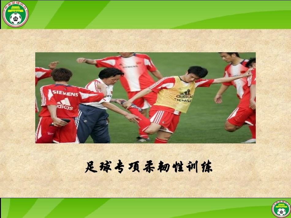 新柔韧性训练_第1页