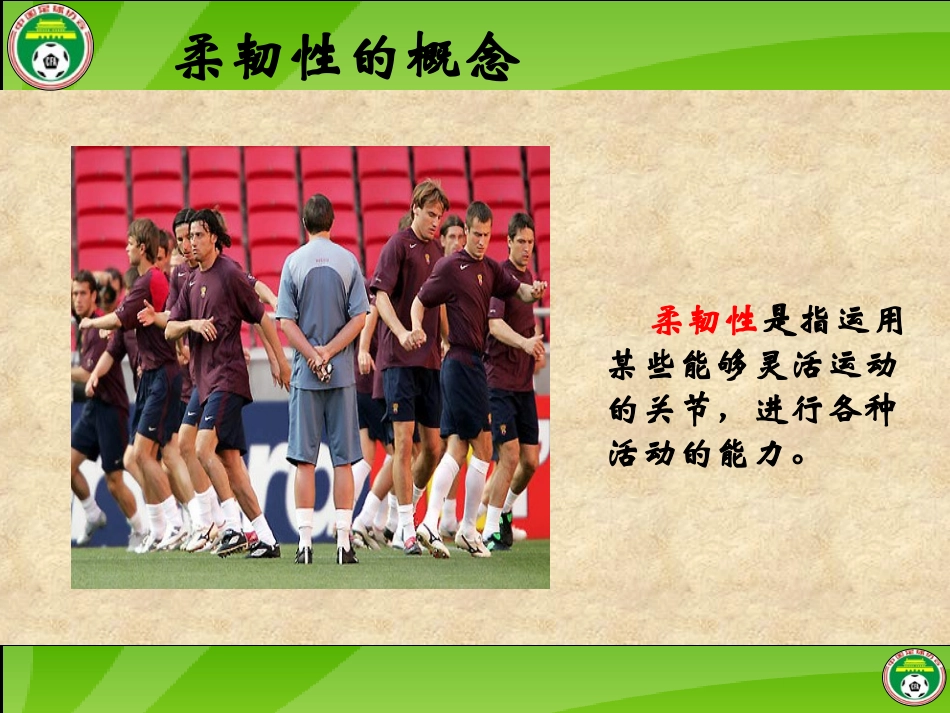 新柔韧性训练_第2页