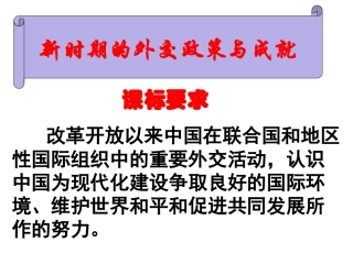 新时期外交政策调整