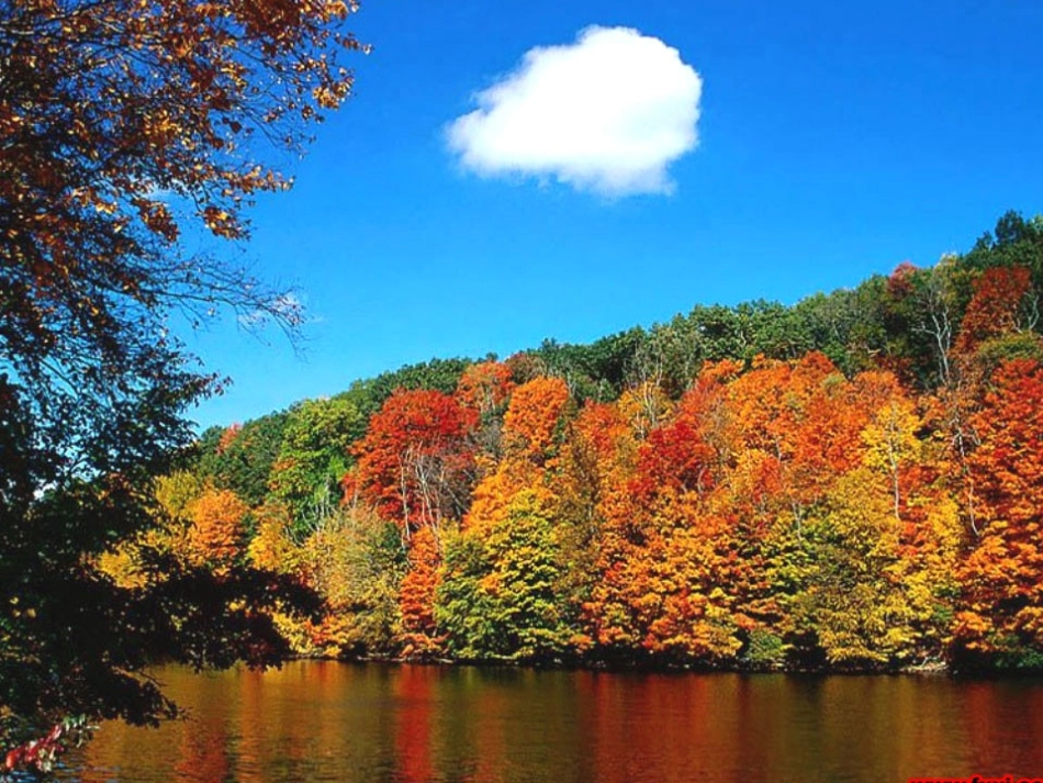 人教版七年级语文上册《秋天》课件 (3)_第3页