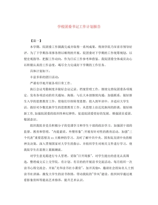 学校团委书记工作计划报告