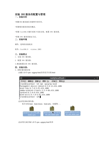 (Linux系统)实验--DNS服务的配置与管理