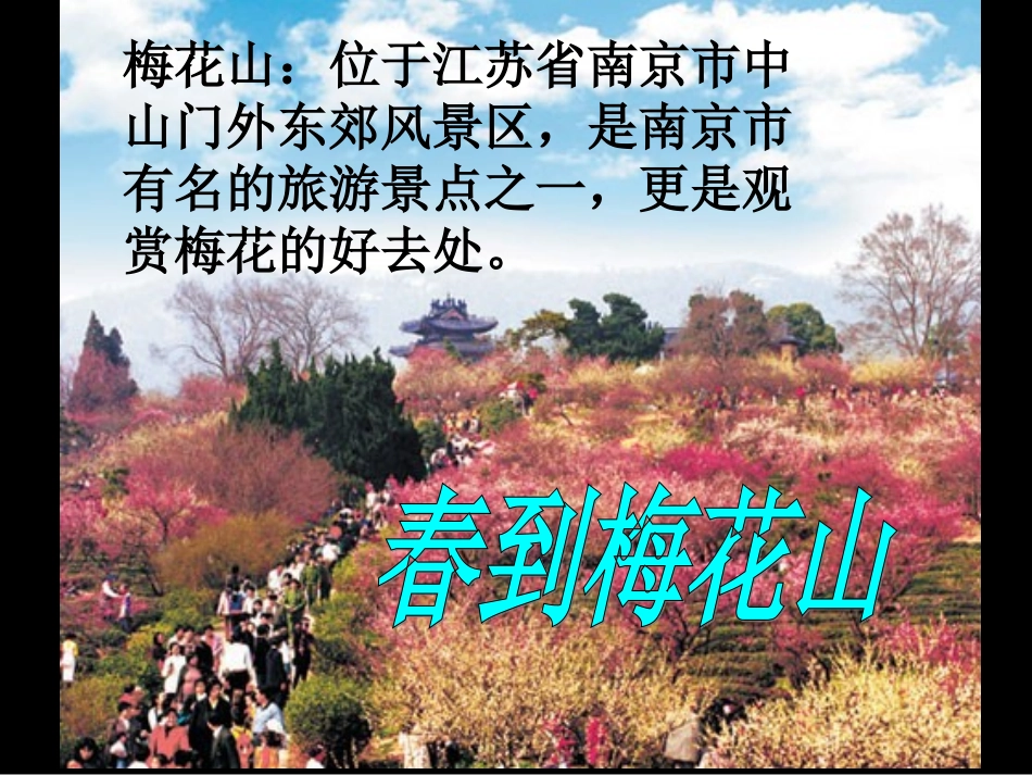 苏教版一下春到梅花山课件_第2页