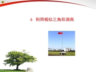 利用相似三角形测高