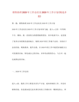 销售助理年工作总结及年工作计划精选多篇)