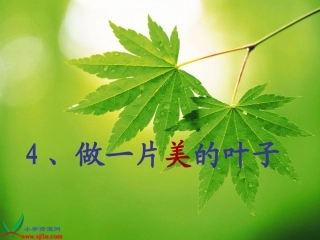 《做一片美的叶子》
