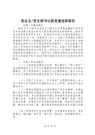 党支部书记抓党建述职报告