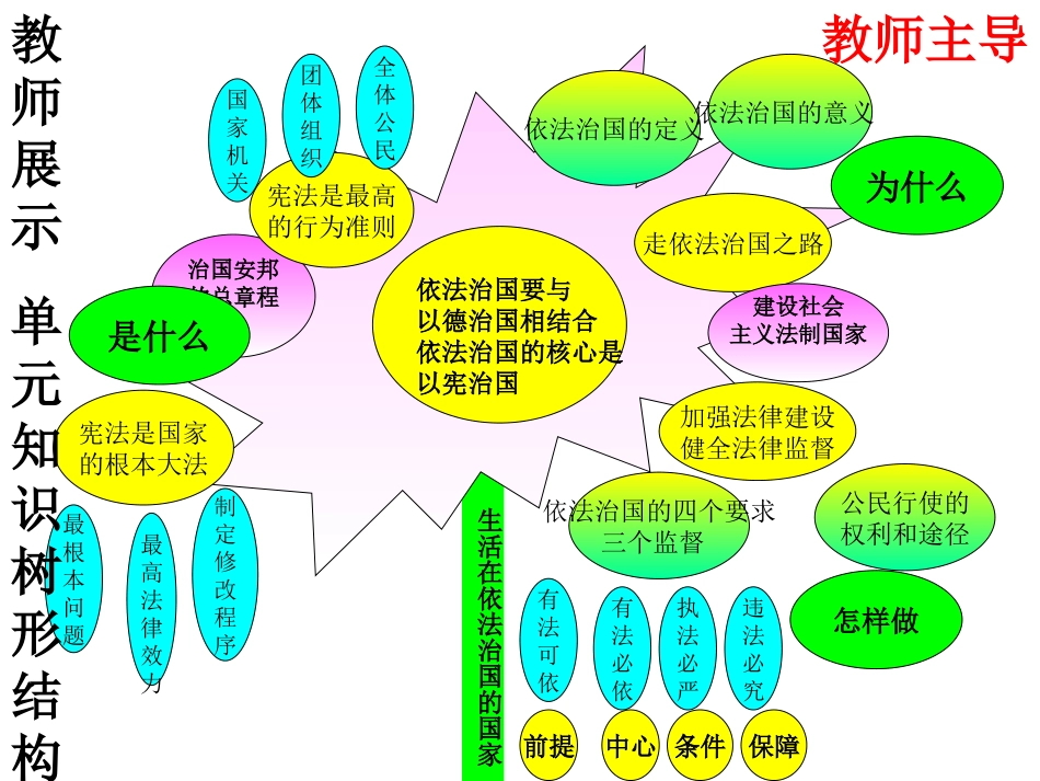 第八单元复习生活在依法治国的国家_第3页