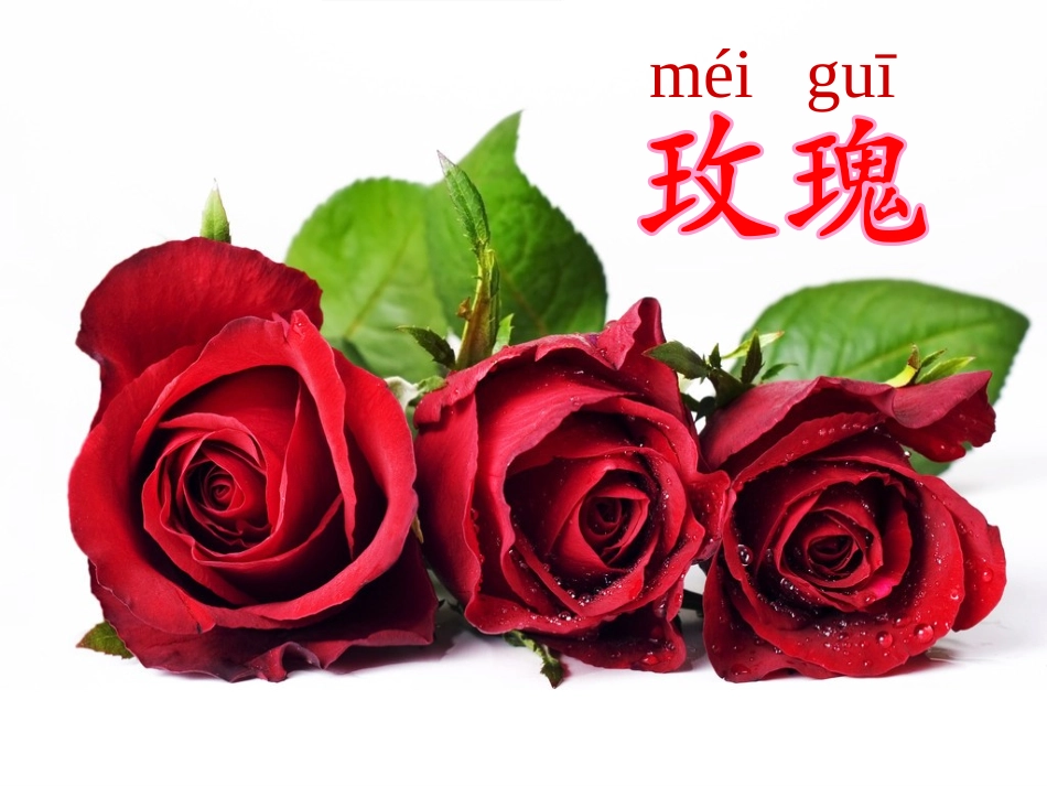 人教版二年级上册5《一株紫丁香》完整课件_第2页
