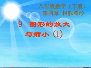 图形的放大与缩小课件何烨