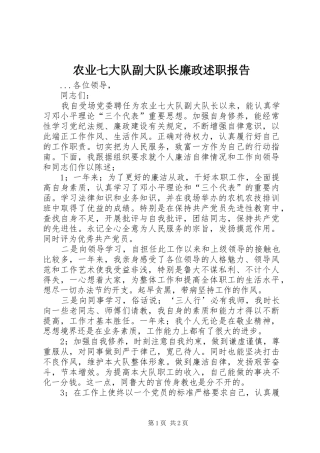 农业七大队副大队长廉政述职报告