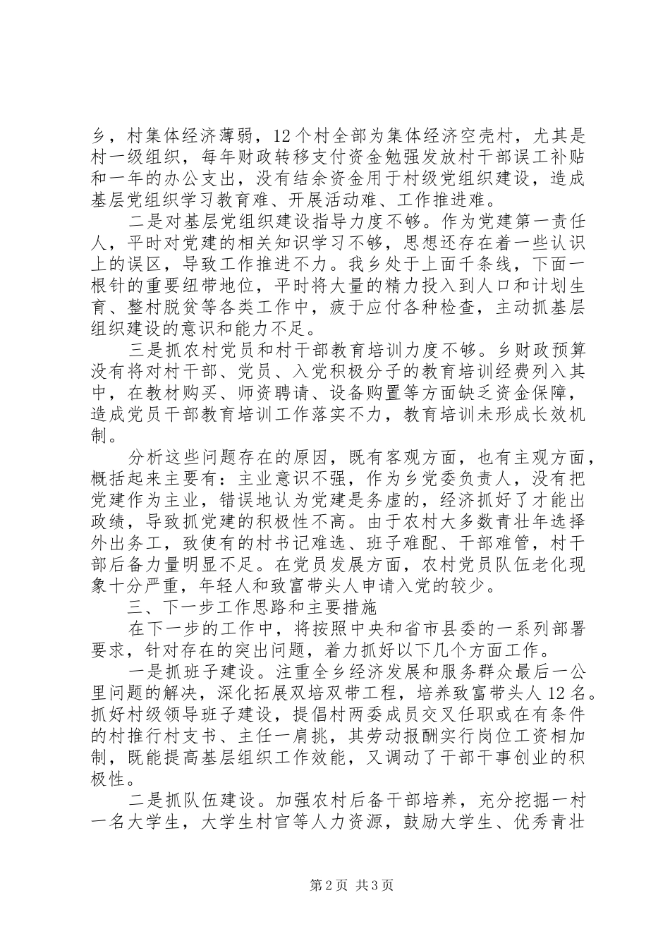 书记党建工作述职报告_第2页