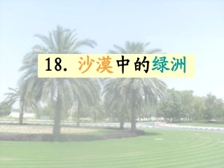 沙漠中的绿洲 (2)