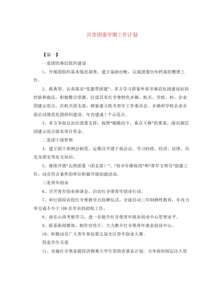共青团委学期工作计划