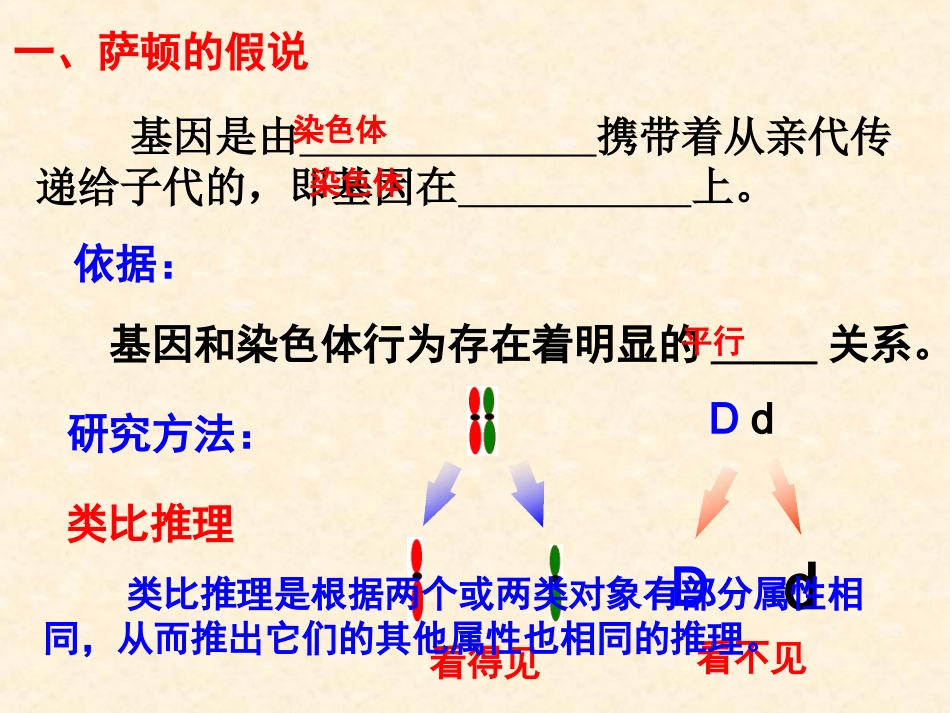 【生物】22基因在染色体上课件（人教版必修2）_第2页