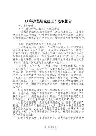 XX年抓基层党建工作述职报告