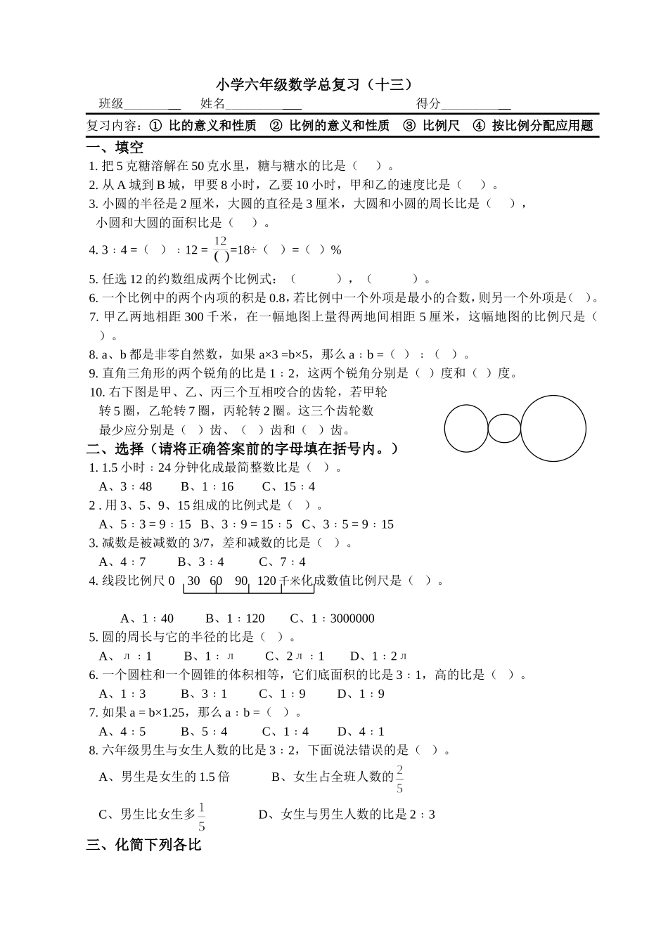 小学六年级数学总复习（十三）_第1页