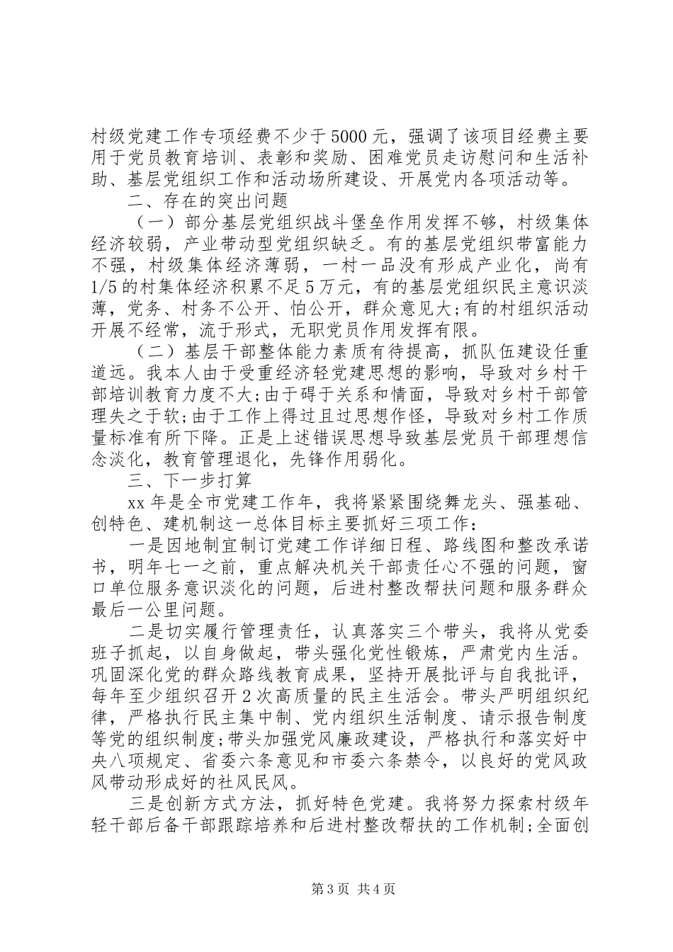 20XX年乡镇党委书记抓基层党建工作述职报告_第3页