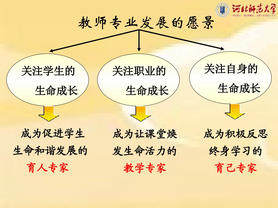 教学案例研讨夏晓烨_第3页