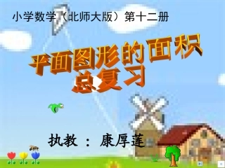 平面图形的面积总复习