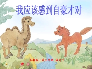 我应该感到自豪才对 (2)