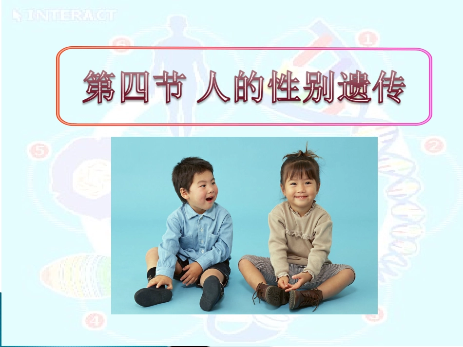 人的性别遗传_公开课_课件_第2页