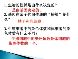 人的性别遗传_公开课_课件
