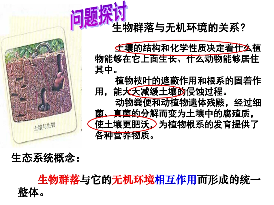 生态系统的结构PPT_第2页