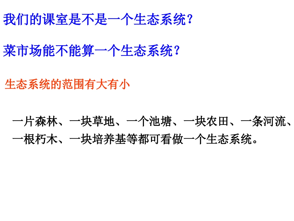 生态系统的结构PPT_第3页