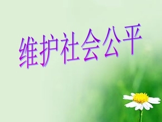 《社会需要公平合作》PPT课件(1)