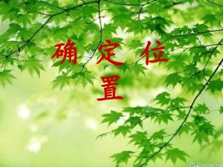 五年级数学确定位置1