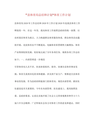 县体育局总结和计划体育工作计划