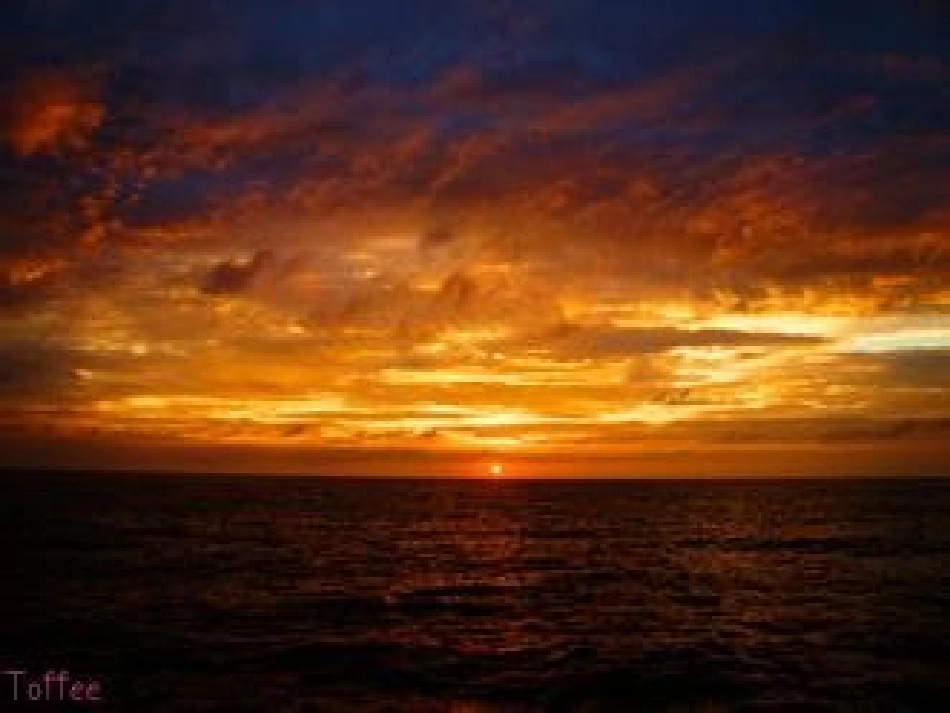 《夕阳真美》_第2页