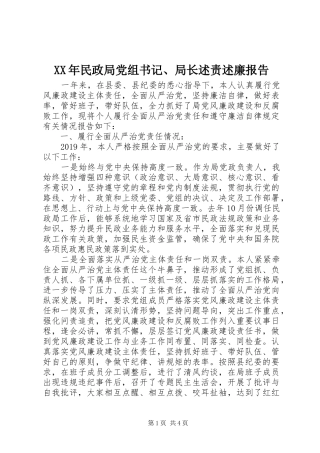 XX年民政局党组书记、局长述责述廉报告