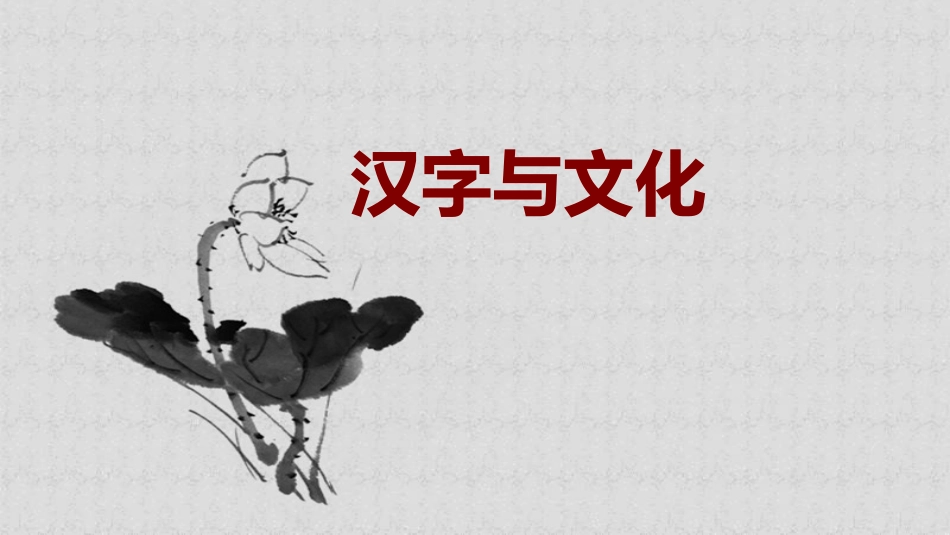 汉字与文化20131227_第1页