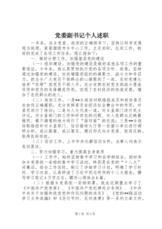 党委副书记个人述职