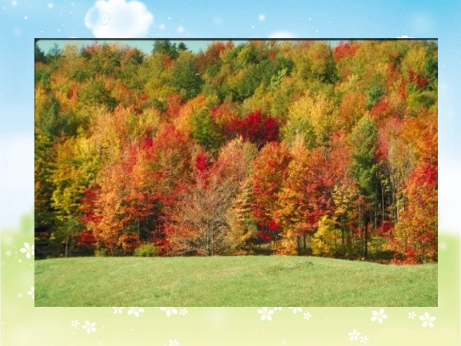 三年级美术_《留住秋天》课件_第2页