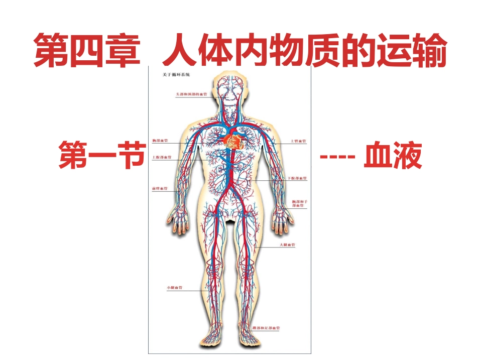 第四章第一节血液_第1页