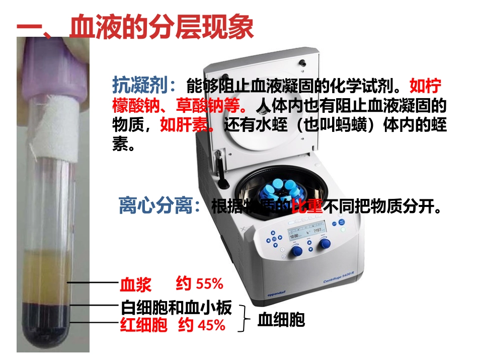 第四章第一节血液_第2页