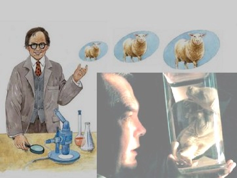 神奇的克隆课件_第3页