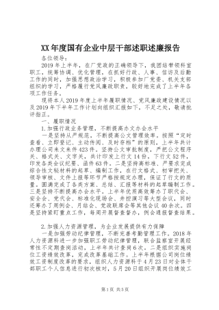XX年度国有企业中层干部述职述廉报告