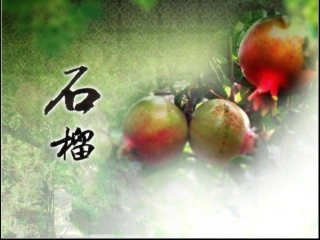 三语石榴课件