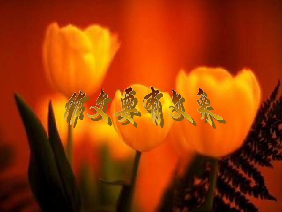 作文之有文采_第1页