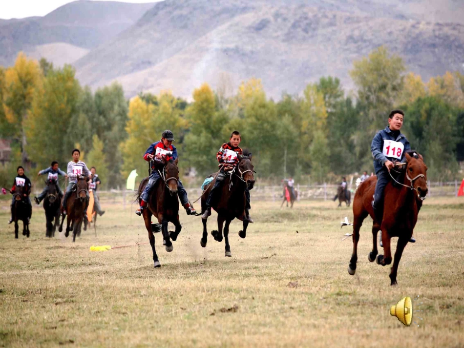 我是草原小骑手 (2)_第1页
