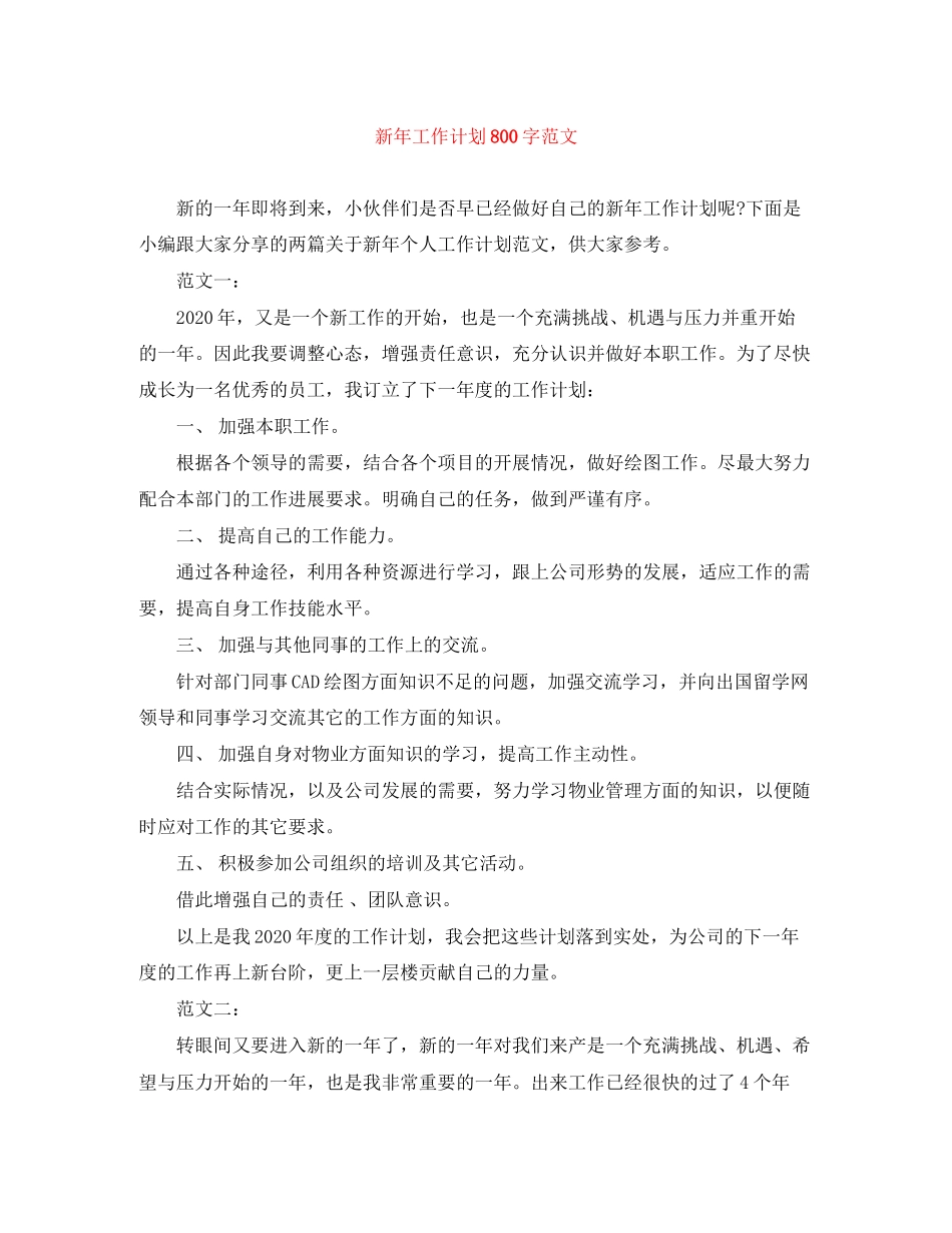 新年工作计划800字范文_第1页