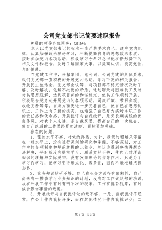 公司党支部书记简要述职报告